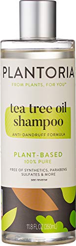 Plantoria Tea Tree Oil Shampoo | Plant Based Pure Vegan Organic Tea Tree Shampoo For Longer, Thicker Hair, Dandruff & Other Scalp Issues | Natural Hair Shampoo With Jojoba, Avocado, Sweet Almond