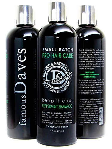 Premium Organic Hair Shampoo – Men’s & Women’s Natural Argan Oil, Tea Tree, and Peppermint – Sulfate Free Loss and Dandruff Prevention – Dave’s Sulfate Free 16 Oz.